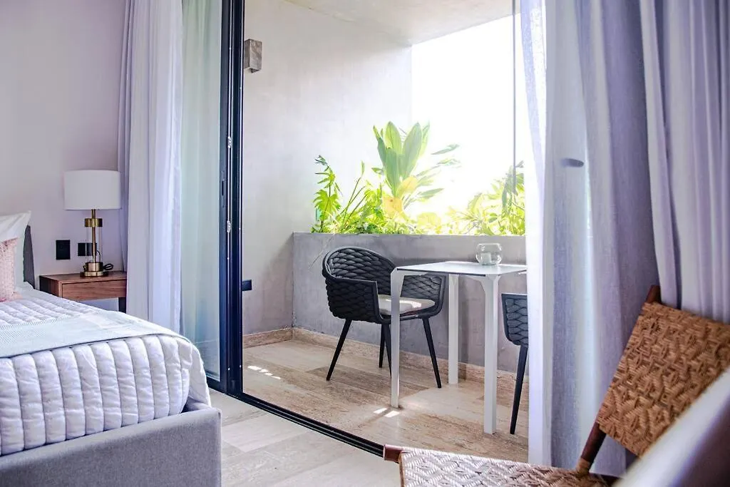 Ocean View Studio, Rooftop Pool, Steps From Beach Hyatt Πλάγια Ντελ Κάρμεν